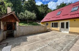 Vila deosebita de 534 mp, 1800 mp, terasa, Codlea 