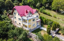 Vila deosebita de 534 mp, 1800 mp, terasa, Codlea 