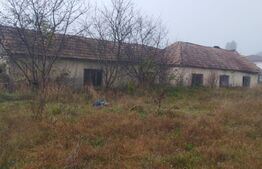 Teren intravilan, 7900 mp, pentru ansamblu case sau hala industriala, Jucu