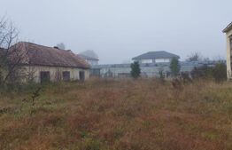 Teren intravilan, 7900 mp, pentru ansamblu case sau hala industriala, Jucu