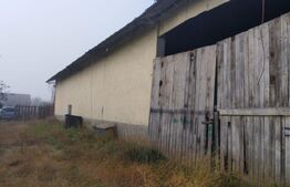 Teren intravilan, 7900 mp, pentru ansamblu case sau hala industriala, Jucu