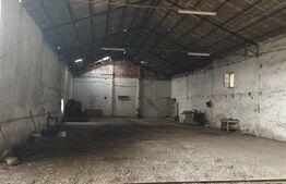 Teren intravilan, 7900 mp, pentru ansamblu case sau hala industriala, Jucu