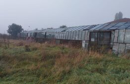 Teren intravilan, 7900 mp, pentru ansamblu case sau hala industriala, Jucu