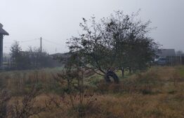 Teren intravilan, 7900 mp, pentru ansamblu case sau hala industriala, Jucu