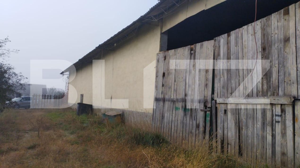 Teren de vânzare Jucu de Mijloc - 149753TV | BLITZ Cluj-Napoca | Poza5