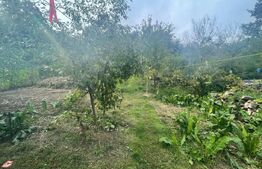 Casa saseasca 5 camere, 160mp utili, 1200mp teren, Feldioara