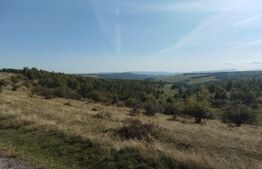 Teren 1.1 hectare, pasune extravilan, asfalt, Salicea