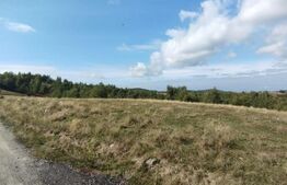 Teren 4197 mp, pasune extravilan, front la asfalt, Salicea