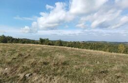 Teren 4197 mp, pasune extravilan, front la asfalt, Salicea