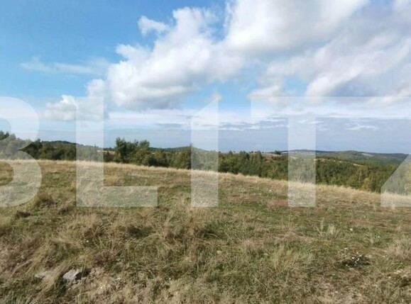 Teren de vânzare Salicea - 149756TV | BLITZ Cluj-Napoca | Poza3