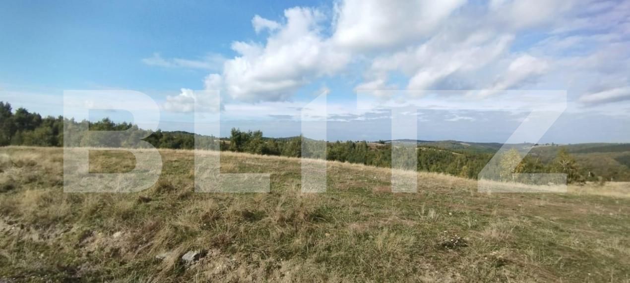 Teren de vânzare Salicea - 149756TV | BLITZ Cluj-Napoca | Poza3