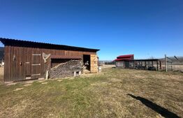 Casă spațioasă cu teren 1000 mp | 5 dormitoare | Terasă 43 mp, Bod