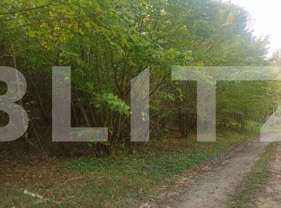 Teren de vânzare Salicea - 149785TV | BLITZ Cluj-Napoca | Poza3