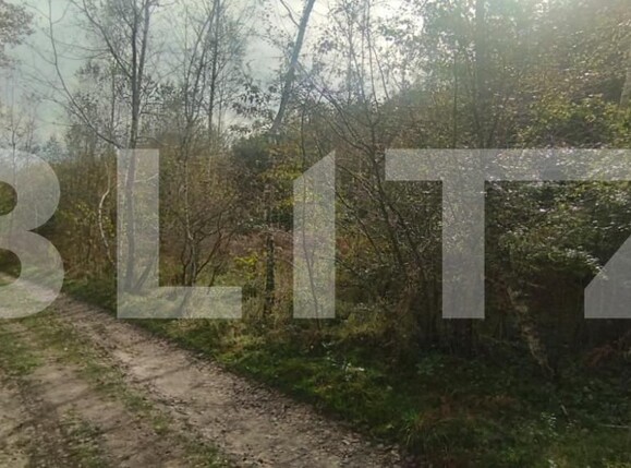 Teren de vânzare Salicea - 149785TV | BLITZ Cluj-Napoca | Poza4