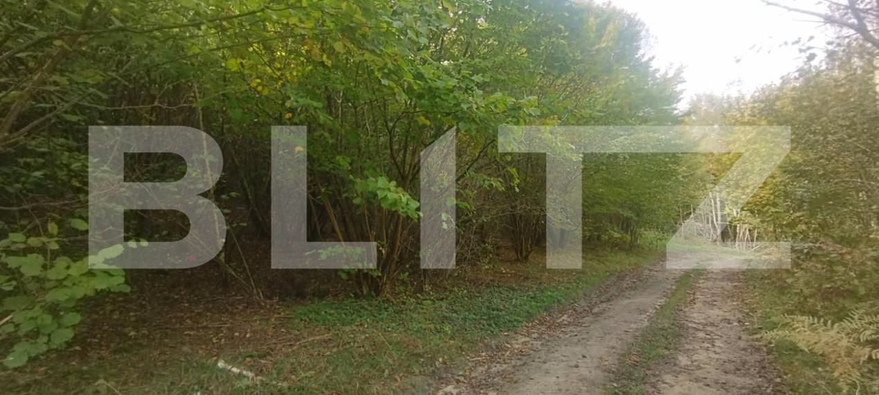 Teren de vânzare Salicea - 149785TV | BLITZ Cluj-Napoca | Poza3