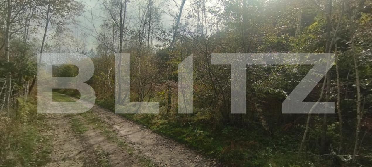 Teren de vânzare Salicea - 149785TV | BLITZ Cluj-Napoca | Poza4