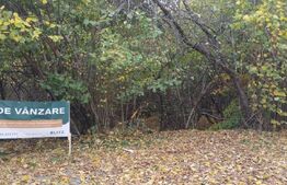 Teren extravilan, 50266 mp, Salicea, zona Moara de Vant