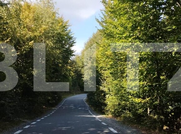 Teren de vânzare Salicea - 149786TV | BLITZ Cluj-Napoca | Poza1