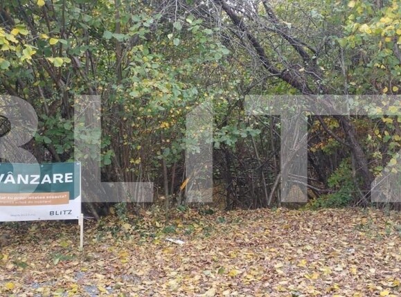 Teren de vânzare Salicea - 149786TV | BLITZ Cluj-Napoca | Poza2