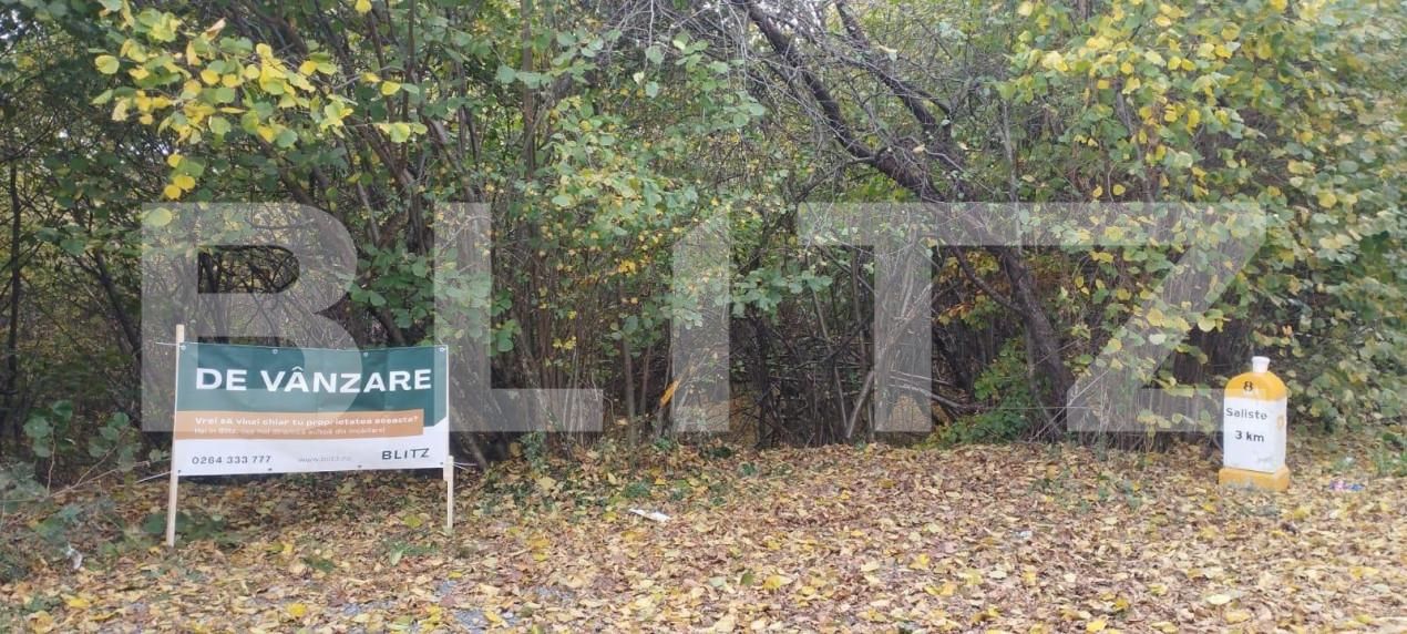 Teren de vânzare Salicea - 149786TV | BLITZ Cluj-Napoca | Poza2