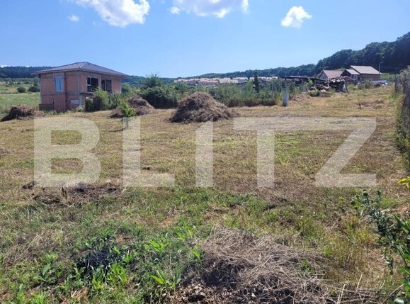 Teren de vânzare Chinteni - 149796TV | BLITZ Cluj-Napoca | Poza4