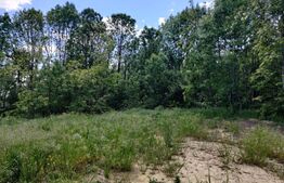 Teren intravilan 1200 mp, Aiton, zona centrala