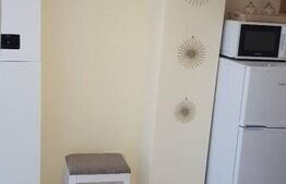 Apartament 1 camera, 35mp, incalzire in pardoseala, recent renovat, zona VIVO