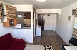 Garsoniera, 21 mp, la 2 min de statia bus