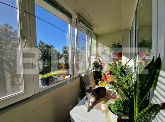 Apartament de vânzare 2 camere Gheorgheni - 149846AV | BLITZ Cluj-Napoca | Poza6