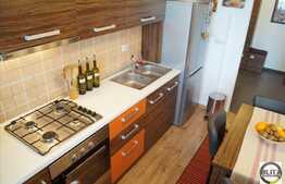 Apartament cochet cu 2 camere, 53 mp, mobilat modern, zona Terra!