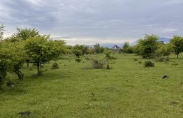 Teren de vânzare în Sanpetru, 850 Mp