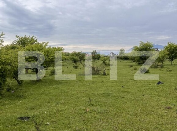 Teren de vânzare Exterior Nord - 149864TV | BLITZ Brașov | Poza1