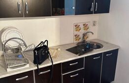 Camera de camin cu baie si chicineta, 24 mp,  etaj intermediar 2/4, Săcele