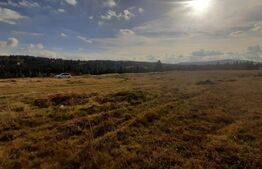 Teren, 1000 mp, intravilan, utilitati, zona Beliș 