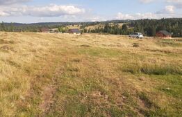 Teren, 1000 mp, intravilan, utilitati, zona Beliș 