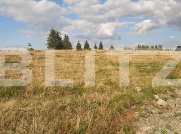 Teren de vânzare Beliș - 149885TV | BLITZ Cluj-Napoca | Poza1