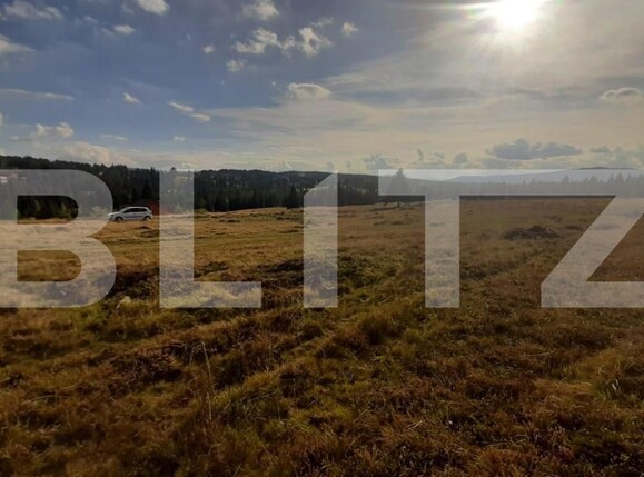 Teren de vânzare Beliș - 149885TV | BLITZ Cluj-Napoca | Poza3
