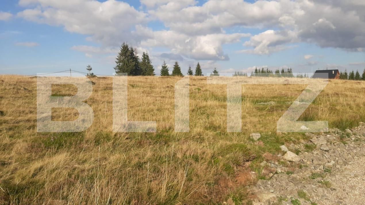 Teren de vânzare Beliș - 149885TV | BLITZ Cluj-Napoca | Poza1