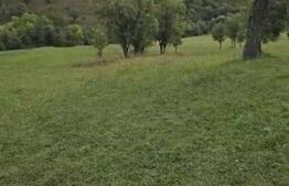 Teren intravilan, 11600 mp, posibilitate asociere / schimb, Suceagu