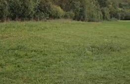 Teren intravilan, 11600 mp, posibilitate asociere / schimb, Suceagu