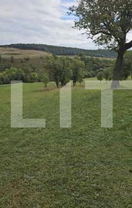 Teren de vânzare Suceagu - 149887TV | BLITZ Cluj-Napoca | Poza3