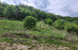 Teren intravilan, 1252mp, Feleacu/Wonderland