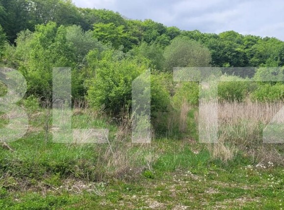 Teren de vânzare Feleacu - 149891TV | BLITZ Cluj-Napoca | Poza4