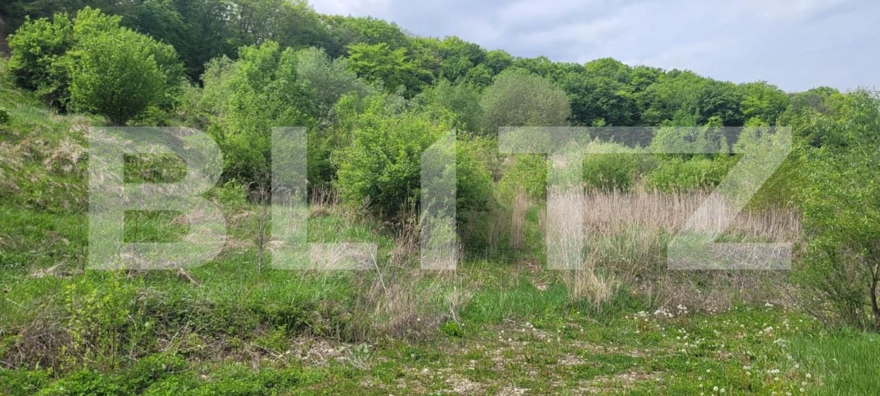 Teren de vânzare Feleacu - 149891TV | BLITZ Cluj-Napoca | Poza4