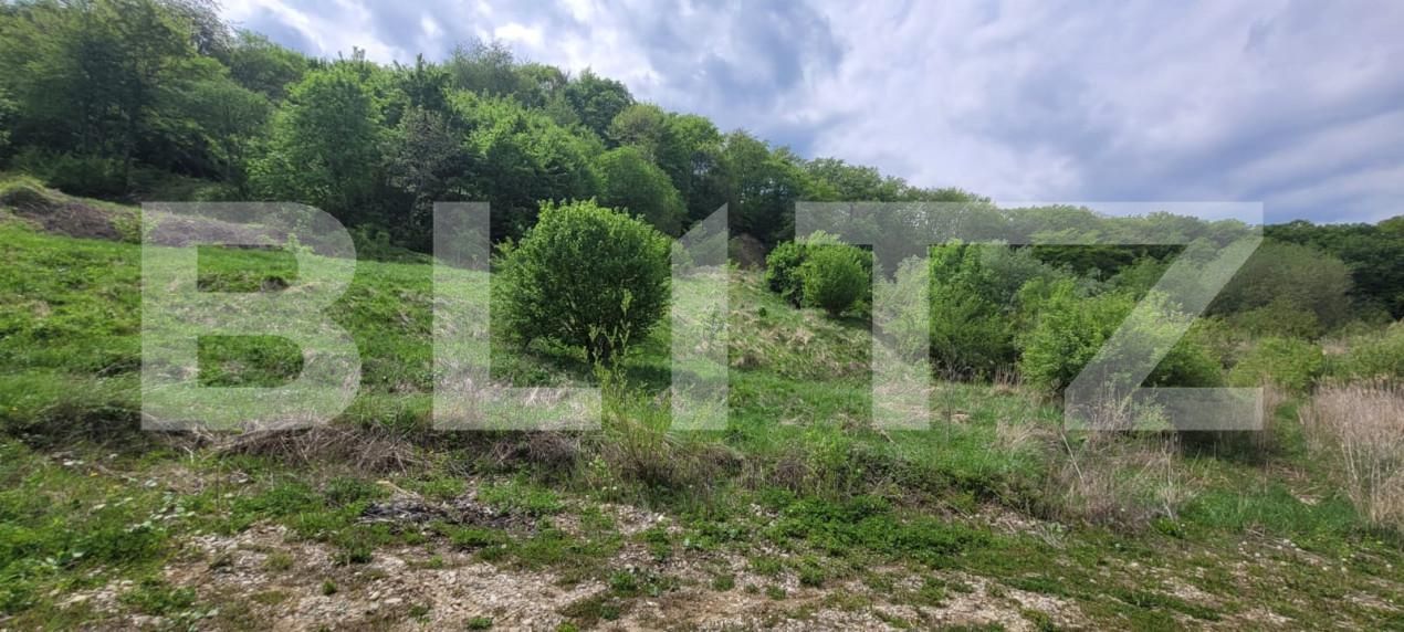 Teren de vânzare Feleacu - 149891TV | BLITZ Cluj-Napoca | Poza3