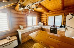 Casa 2 camere, 86mp utili, 987 mp teren, zona Suceagu!