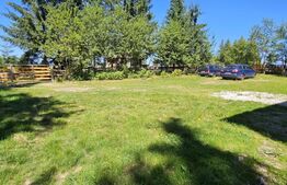 EXCLUSIVITATE-COMISION 0% Casa 6 camere, 374 mp utili, 1433 mp teren, Marisel