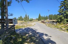 EXCLUSIVITATE-COMISION 0% Casa 6 camere, 374 mp utili, 1433 mp teren, Marisel