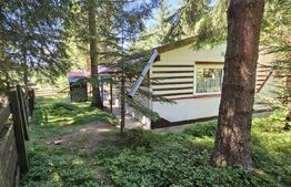 Casa de vacanta, 3 camere, teren 838 mp, 110 mp, Marisel