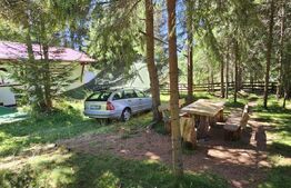 Casa de vacanta, 3 camere, teren 838 mp, 110 mp, Marisel